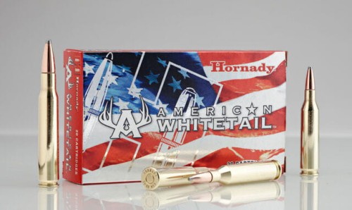 amunicja Hornady .243 Win 6,5 g 100 gr BTSP paczka 20 sztuk