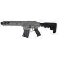 Panzer Arms AR12 Tactical Grey 12/76