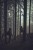 Spodnie Helikon MBDU NyCo Ripstop PL Woodland 3XL