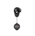 Nocpix Lumi L35R 384x288