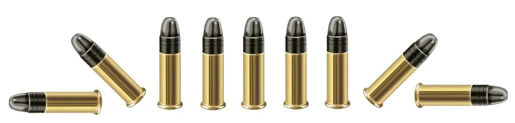 22LR (5,6mm) RWS PISTOL MATCH; 2,6g/40gr