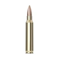 AMUNICJA 5,56NATO HORNADY 3,6G 55GR FMJ FR200 (20)