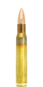 AMUNICJA LAPUA TRAINING 30-06 FMJ 8GR