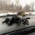Lornetka Vortex Triumph HD 10x42