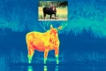 1920x1280_product_media_55001-56000_thermal_moose(1)-p.webp