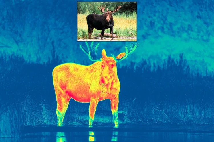 1920x1280_product_media_55001-56000_thermal_moose(1)-p.webp