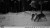 big_S3-with-out-colur-the-nigth-003-.jpg