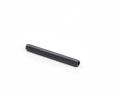 pin walther .png