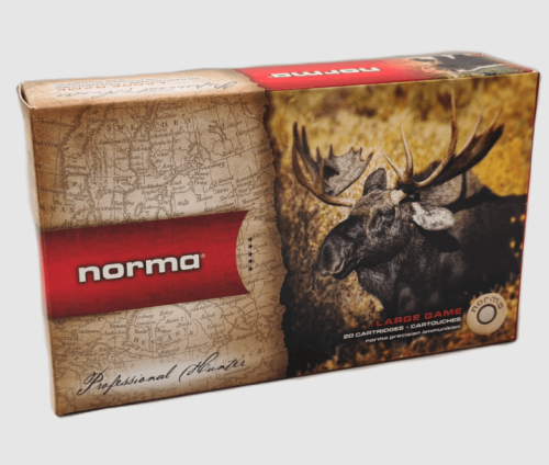 norma 1.png
