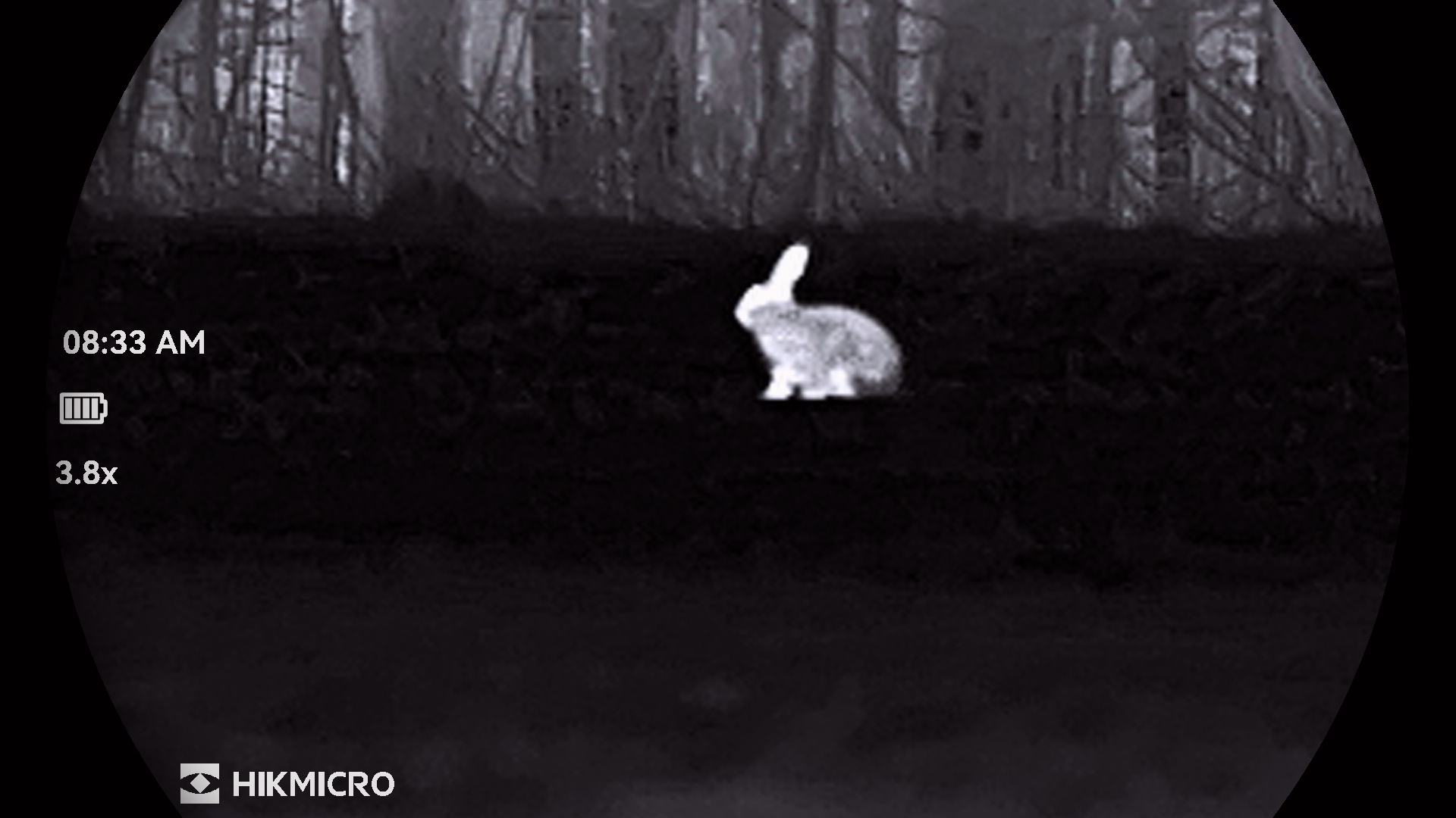 lornetka-termowizyjna