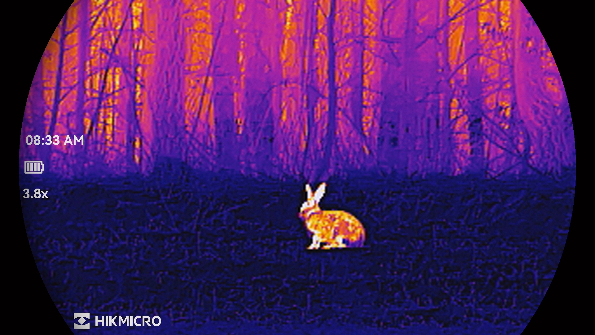 lornetka-termowizyjna