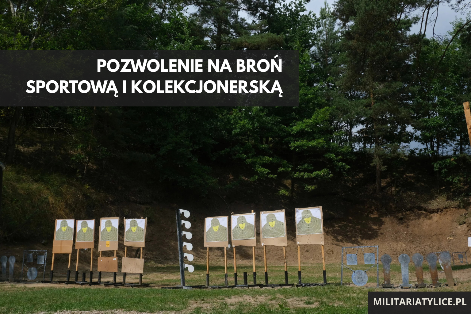 pozwolenie-na-broń